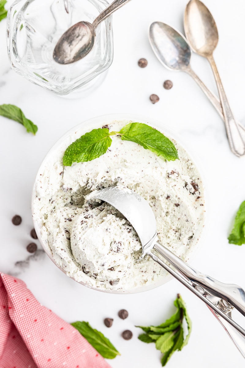Mint Chip Keto Ice Cream