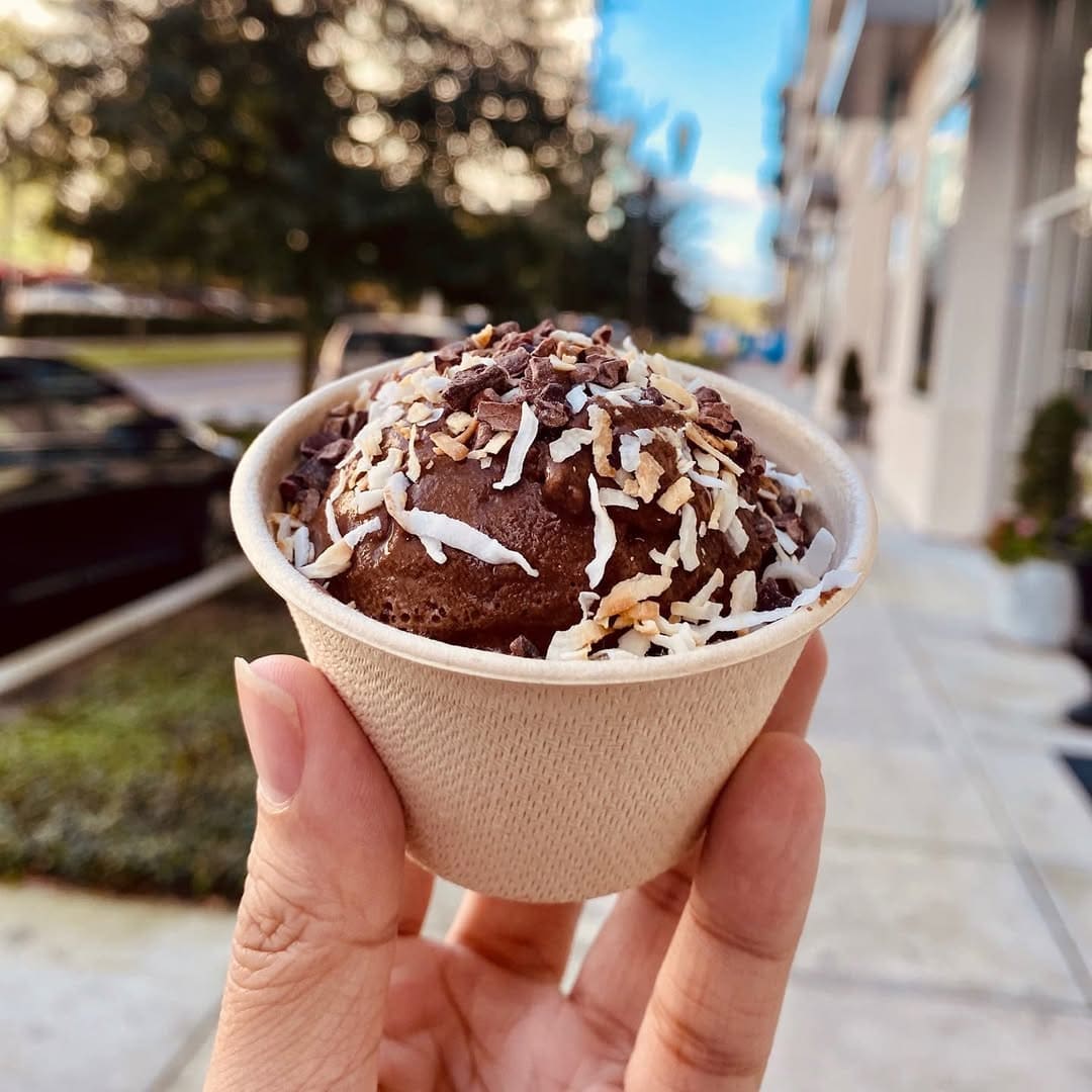 Keto Dairy Free Ice Cream
