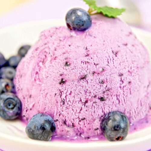 Keto Blueberry Dessert